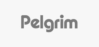 Pelgrim | 60CM SLK635RVS - - InstallerenDoeJeZelf